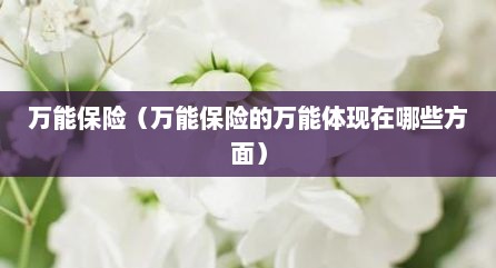 万能保险（万能保险的万能体现在哪些方面）