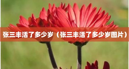 张三丰活了多少岁（张三丰活了多少岁图片）