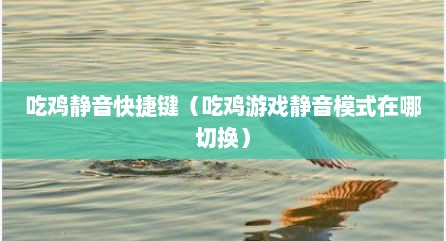 吃鸡静音快捷键（吃鸡游戏静音模式在哪切换）