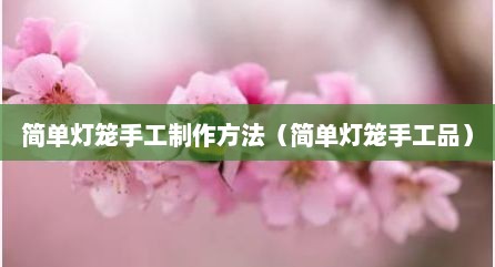 简单灯笼手工制作方法（简单灯笼手工品）