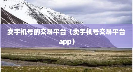 卖手机号的交易平台（卖手机号交易平台app）