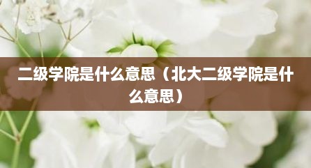 二级学院是什么意思（北大二级学院是什么意思）