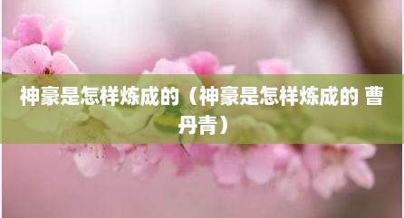 神豪是怎样炼成的（神豪是怎样炼成的 曹丹青）