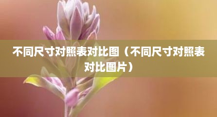 不同尺寸对照表对比图（不同尺寸对照表对比图片）