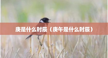 庚是什么时辰（庚午是什么时辰）