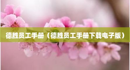 德胜员工手册（德胜员工手册下载电子版）