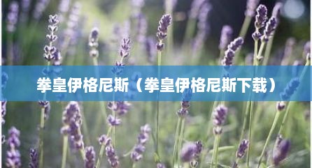 拳皇伊格尼斯（拳皇伊格尼斯下载）