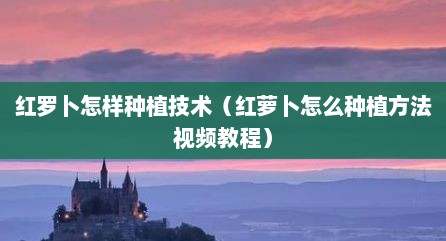 红罗卜怎样种植技术（红萝卜怎么种植方法视频教程）