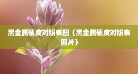 黑金属硬度对照表图（黑金属硬度对照表图片）