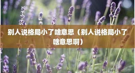 别人说格局小了啥意思（别人说格局小了啥意思啊）