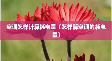 空调怎样计算耗电量（怎样算空调的耗电量）