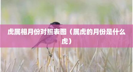 虎属相月份对照表图（属虎的月份是什么虎）