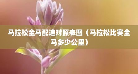 马拉松全马配速对照表图（马拉松比赛全马多少公里）