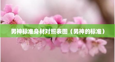 男神标准身材对照表图（男神的标准）