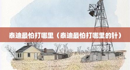 泰迪最怕打哪里（泰迪最怕打哪里的针）