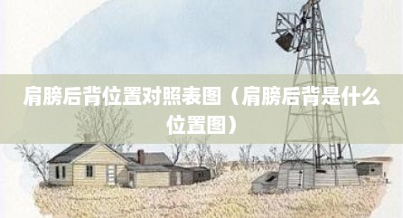 肩膀后背位置对照表图（肩膀后背是什么位置图）