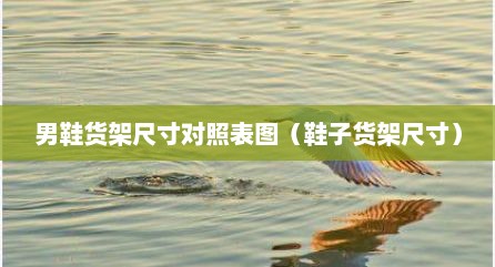 男鞋货架尺寸对照表图（鞋子货架尺寸）
