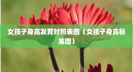 女孩子身高发育对照表图（女孩子身高标准图）