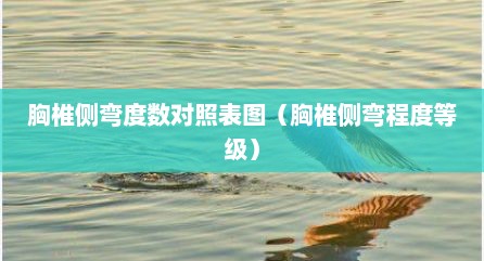 胸椎侧弯度数对照表图（胸椎侧弯程度等级）