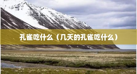 孔雀吃什么（几天的孔雀吃什么）