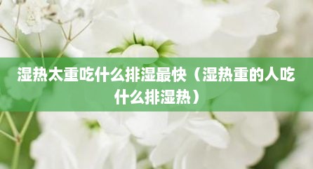湿热太重吃什么排湿最快（湿热重的人吃什么排湿热）