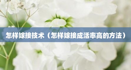 怎样嫁接技术（怎样嫁接成活率高的方法）
