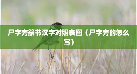 尸字旁篆书汉字对照表图（尸字旁的怎么写）