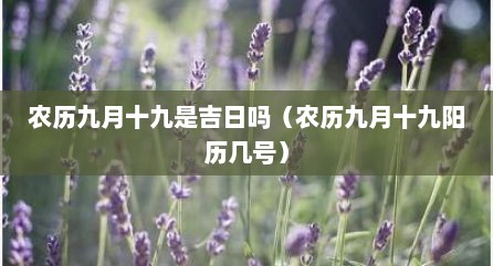 农历九月十九是吉日吗（农历九月十九阳历几号）