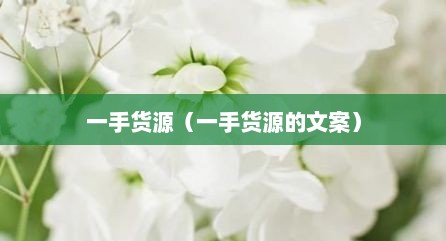 一手货源（一手货源的文案）