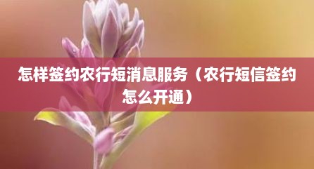 怎样签约农行短消息服务（农行短信签约怎么开通）