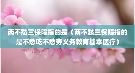 两不愁三保障指的是（两不愁三保障指的是不愁吃不愁穿义务教育基本医疗）
