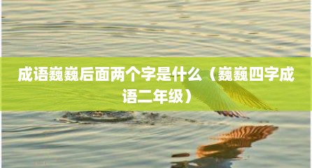 成语巍巍后面两个字是什么（巍巍四字成语二年级）