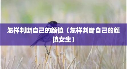 怎样判断自己的颜值（怎样判断自己的颜值女生）