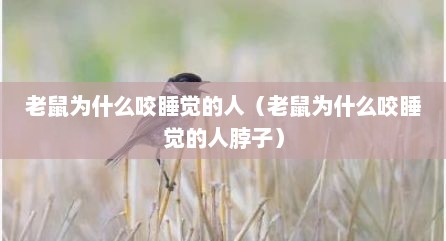 老鼠为什么咬睡觉的人（老鼠为什么咬睡觉的人脖子）