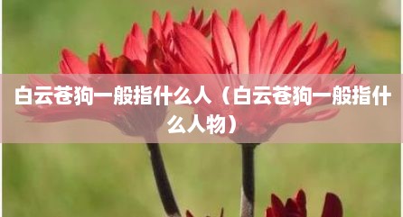 白云苍狗一般指什么人（白云苍狗一般指什么人物）