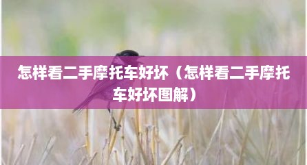 怎样看二手摩托车好坏（怎样看二手摩托车好坏图解）