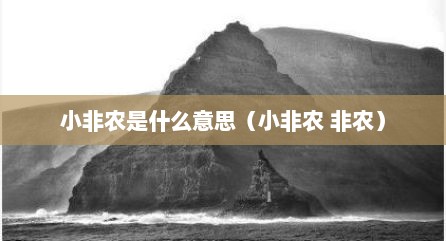 小非农是什么意思（小非农 非农）
