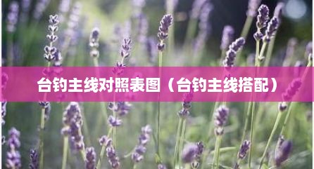 台钓主线对照表图（台钓主线搭配）