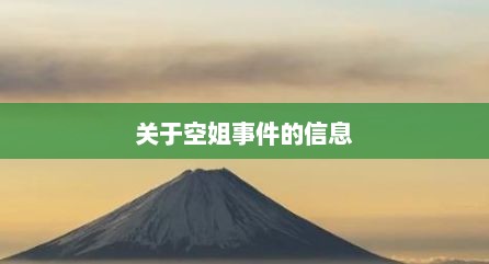 关于空姐事件的信息