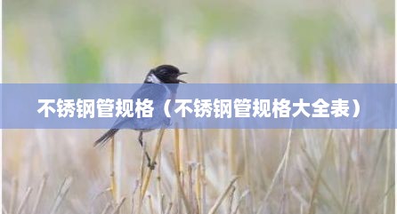 不锈钢管规格（不锈钢管规格大全表）