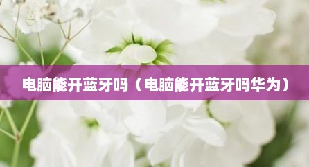 电脑能开蓝牙吗（电脑能开蓝牙吗华为）
