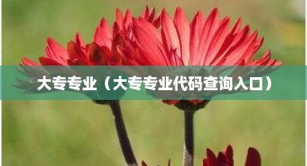 大专专业（大专专业代码查询入口）