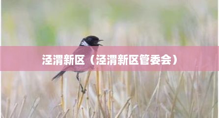 泾渭新区（泾渭新区管委会）