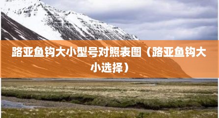 路亚鱼钩大小型号对照表图（路亚鱼钩大小选择）