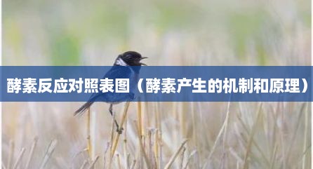 酵素反应对照表图（酵素产生的机制和原理）