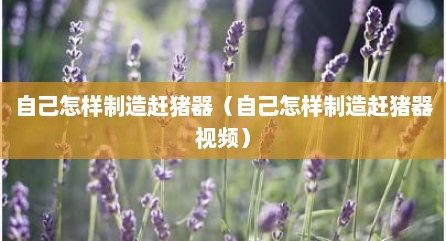自己怎样制造赶猪器（自己怎样制造赶猪器视频）