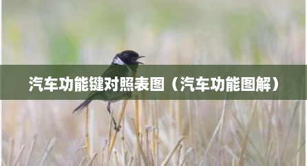 汽车功能键对照表图（汽车功能图解）