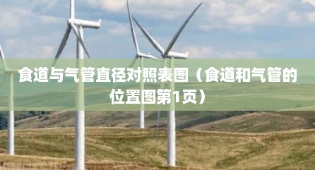 食道与气管直径对照表图（食道和气管的位置图第1页）