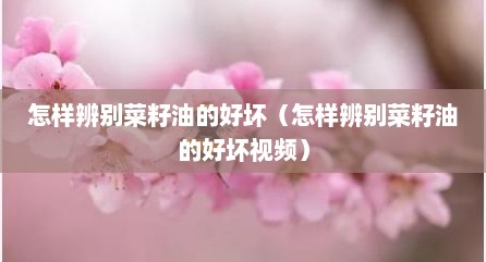 怎样辨别菜籽油的好坏（怎样辨别菜籽油的好坏视频）