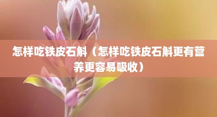 怎样吃铁皮石斛（怎样吃铁皮石斛更有营养更容易吸收）
